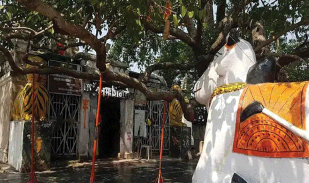  राजिम माघी पुन्नी मेले के आज समापन ,CM भूपेश बघेल होंगे मुख्य अतिथि  प्रदेश के सभी मंत्री भी होंगे शामिल 