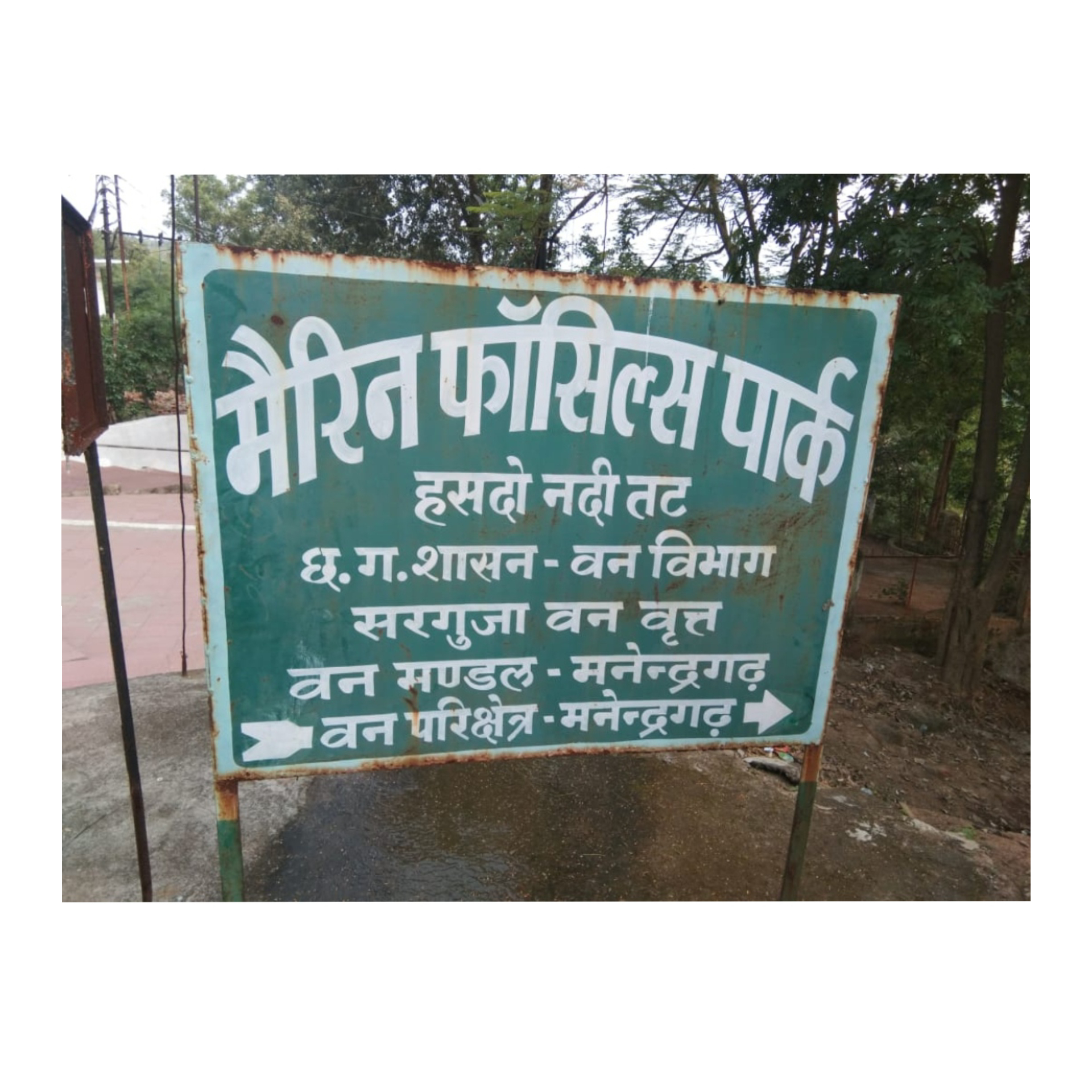 एशिया का सबसे बड़ा फॉसिल्स पार्क बनेगा मनेन्द्रगढ़ में, सीएम बघेल 21 मार्च को रखेंगे निव..