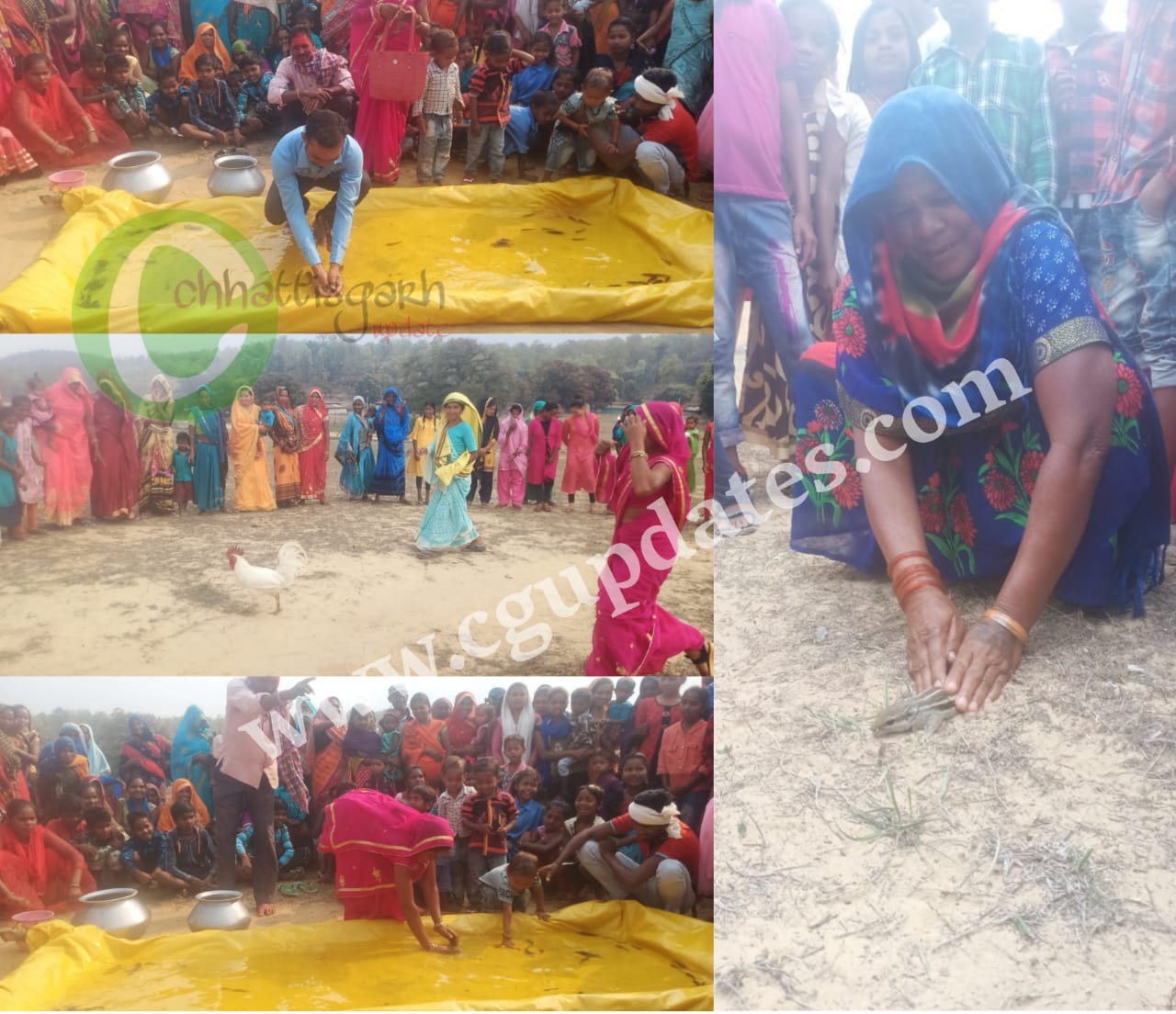 छत्तीसगढ़/ जीव-जंतुओं की स्पर्धा: केकड़ा-मछली पकड़ने की होड़, गिलहरी, खरगोश और जंगली मुर्गे ने लगाई दौड़.. 