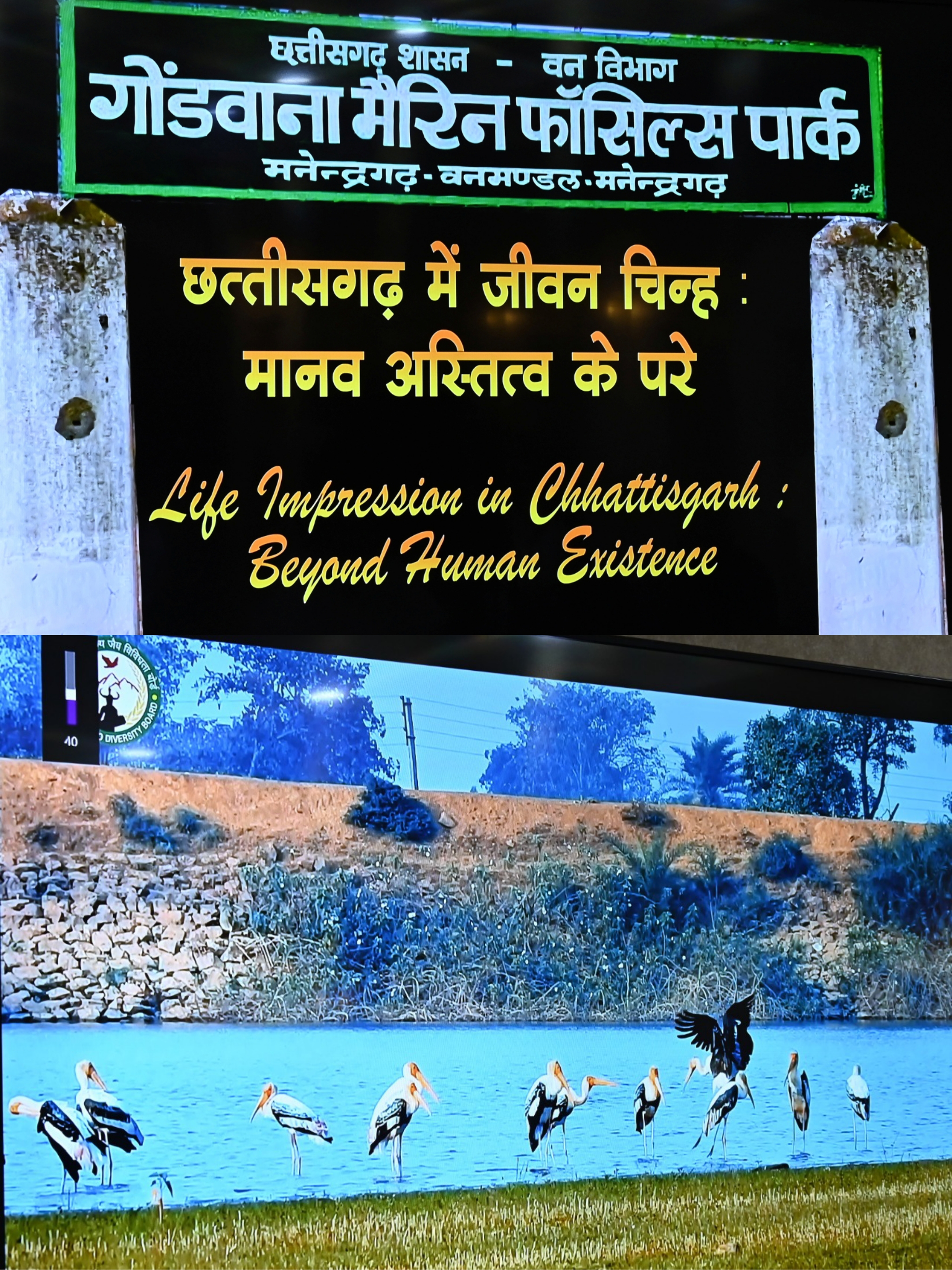 हसदेव के तट पर जून से बनेगा गोंडवाना मरीन फॉसिल्स पार्क, जैव विविधता दिवस पर सीएम बघेल ने की घोषणा, गिधवा में बन रहा है पक्षी जागरूकता एवं प्रशिक्षण केंद्र...