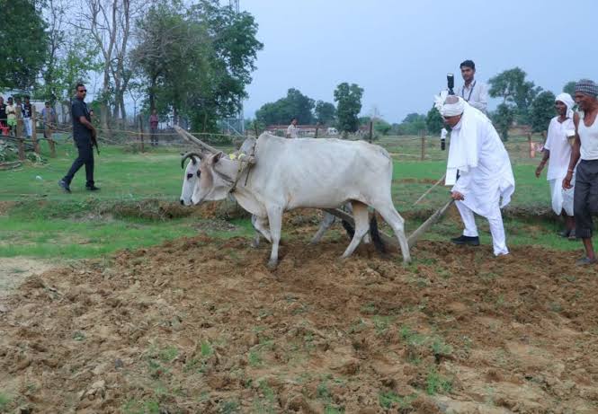 इस बार भी हरेली पर रहेगी धूम सीएम हाउस में आयोजन की जोरदार तैयारी