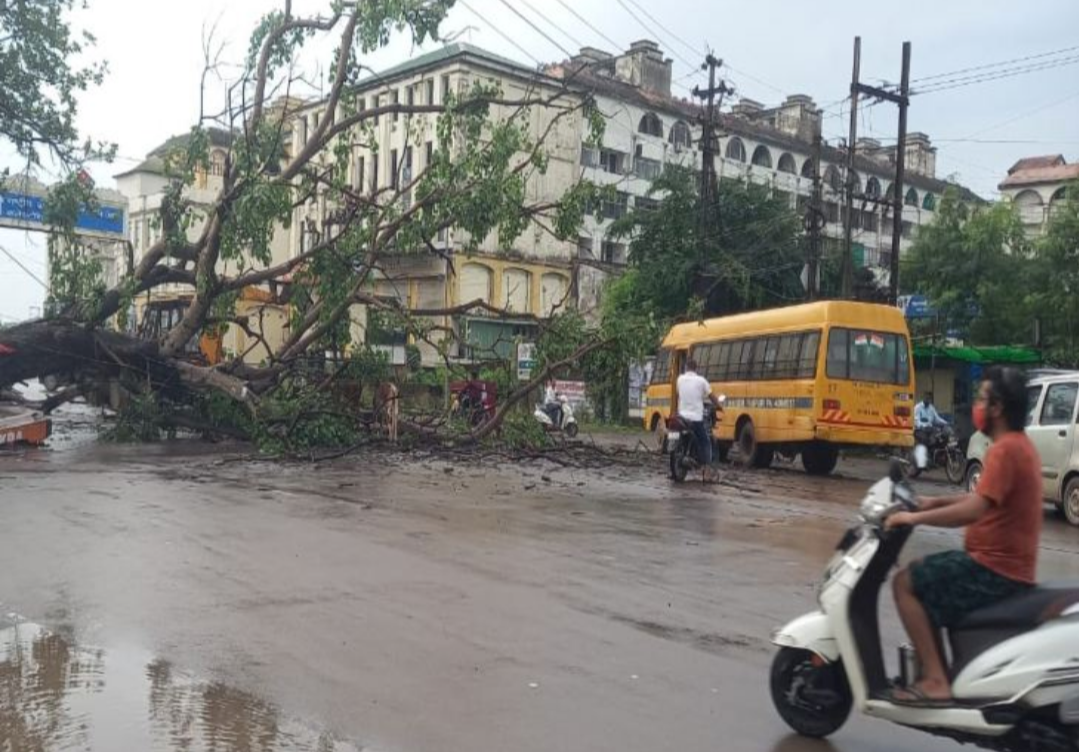 रायपुर बीच रास्ते मे गिरा विशालकाय पीपल का पेड़ ट्रैफिक में घंटो फाँसी रही गाड़िया