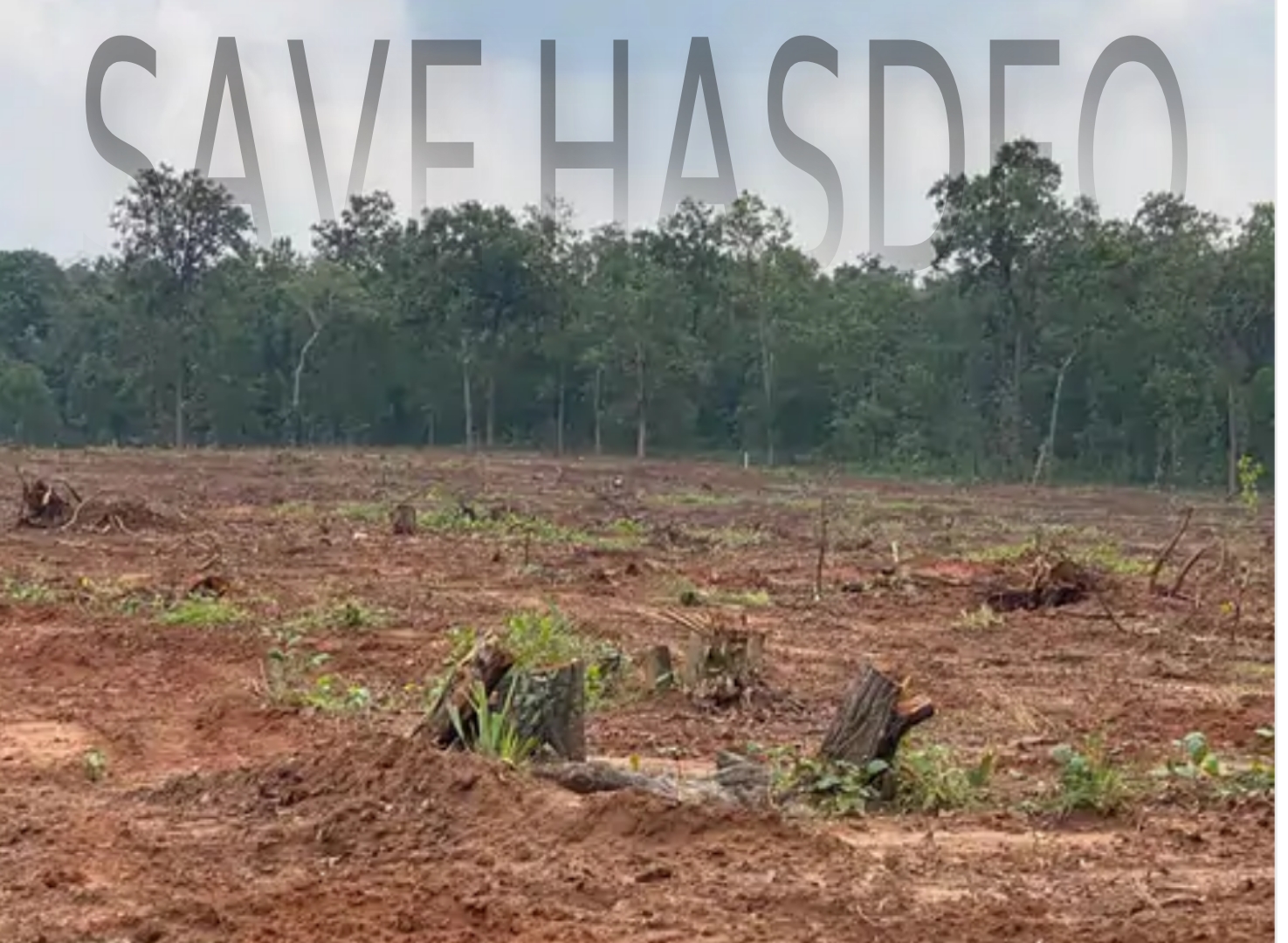 हसदेव में पेड़ों की कटाई पर रोक केंद्र औऱ राजस्थान सरकार ने उच्चत्तम न्ययालय में कहा अगली सुनवाई तक नही काटेंगे पेड़ 