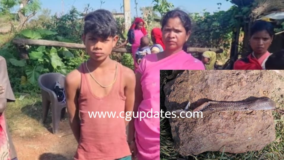 छत्तीसगढ़ खेल रहे बच्चे को सांप ने काटा गुस्से में बच्चें ने भी सांप को काट दिया फिर क्या हुआ जान कर आप भी हो जाएंगे हैरान...