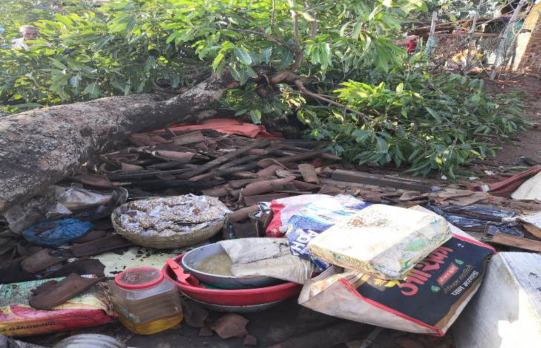 80 साल पुराना पेड़ गिरा पति-पत्नी की दबकर मौत....पेड़ के नीचे बेच रहे थे चना-मुर्रा