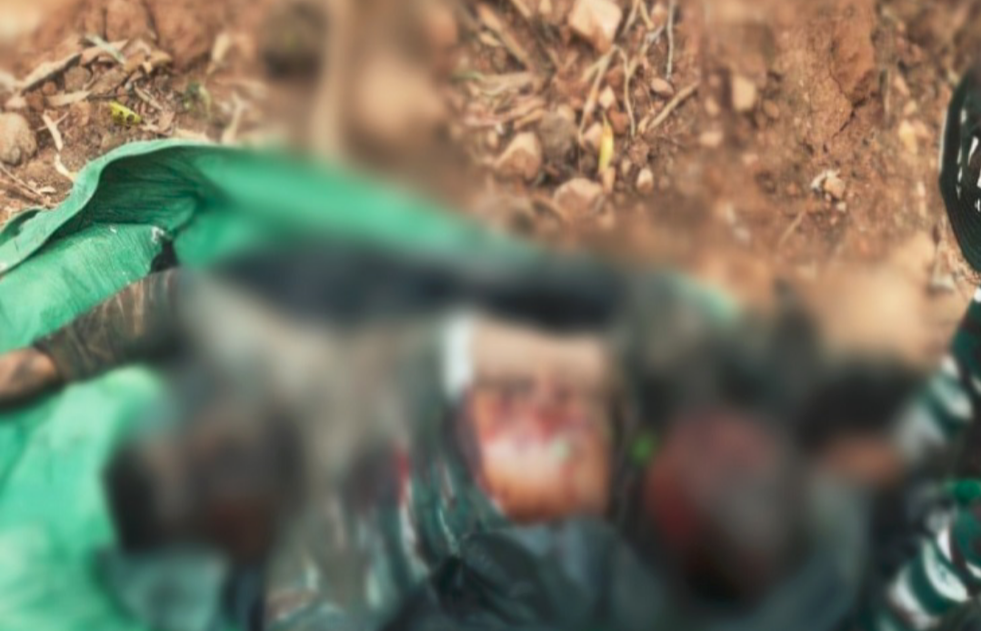 बीजापुर में IED ब्लास्ट, 2 जवान घायल हुए घायल सर्चिंग पर निकले थे, उसी दौरान फटा बम...