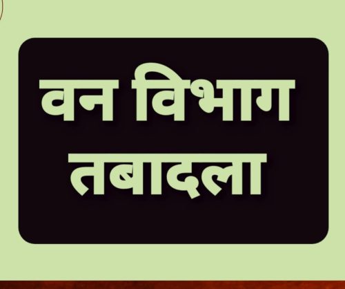 BREAKING: वन विभाग में बड़े पैमाने पर तबादला...जानिए किसे मिली कहां की जिम्मेदारी&hellip;!!