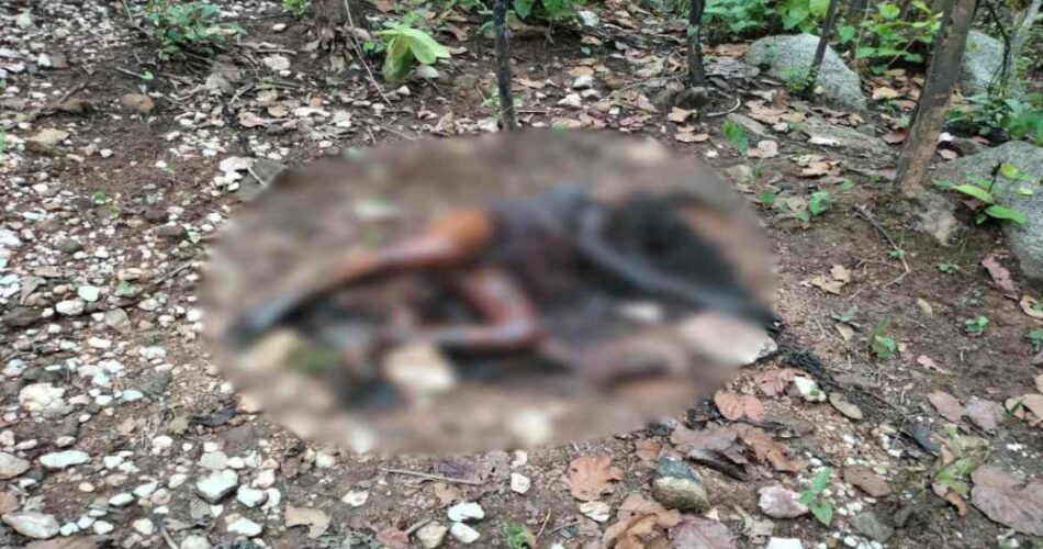 जंगल में मिली अधेड़ की सड़ी-गली लाश, पुलिस जांच में जुटी
