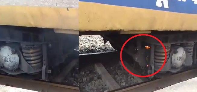 BREAKING : नर्मदा एक्सप्रेस के ब्रेक सिस्टम में लगी आग, मची अफरा-तफरी..