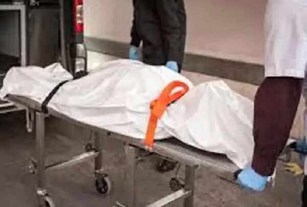 सांप काटने से महिला की मौत, बिस्तर पर बैठा मिला करैत सांप