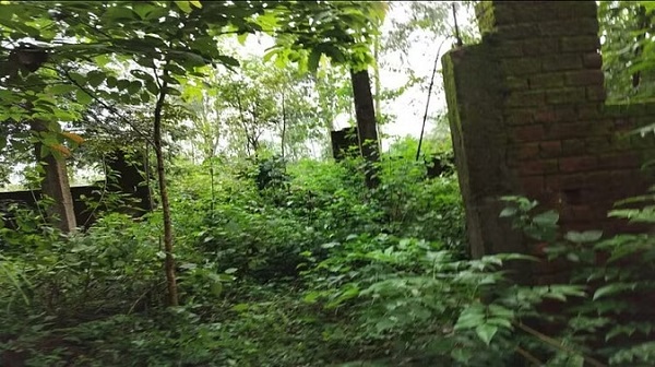 आश्रम के पीछे जंगल में मिला नर कंकाल, जांच में जुटी पुलिस