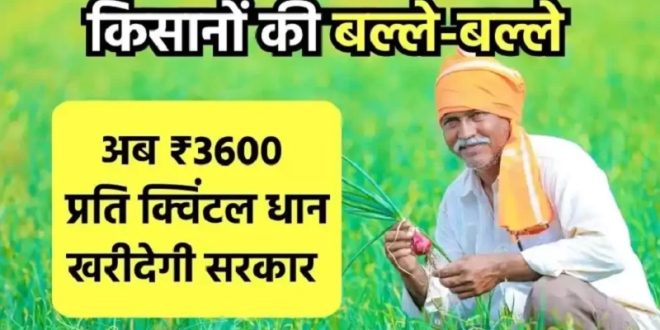 छत्तीसगढ़ में किसानों को अब 3600 मिलेगा प्रति क्विंटल धान का दाम, इस मंत्री ने कर दिया बड़ा ऐलान!