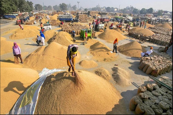 छत्तीसगढ़ के किसानों के लिए काम की खबर, इतने दिन बढ़ाई गई धान बेचने के लिए पंजीयन कराने की तारीख, आदेश जारी 