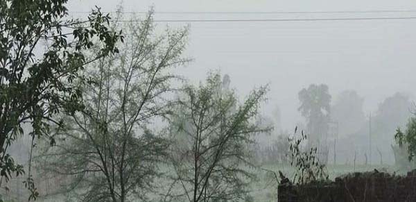 छत्तीसगढ़ से मानसून की विदाई, अब ठंडी हवाओं से गुलजार होगा मौसम, पढ़ें मौसम का ताजा हाल 