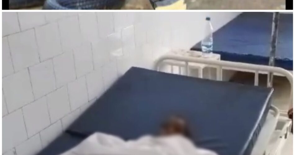  दिवाली से पहले मातम में बदलीं घर की खुशियां, सांप काटने से दो वर्षीय मासूम की मौत