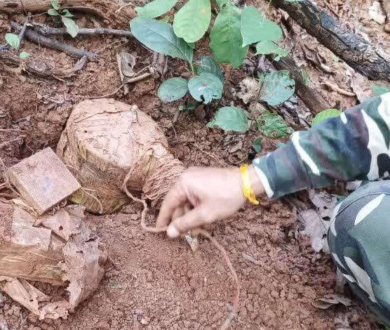 रेलवे ट्रैक को नुकसान पहुंचाने नक्सलियों ने लगाया IED, SSB जवानों ने किया डिफ्यूज&hellip;.