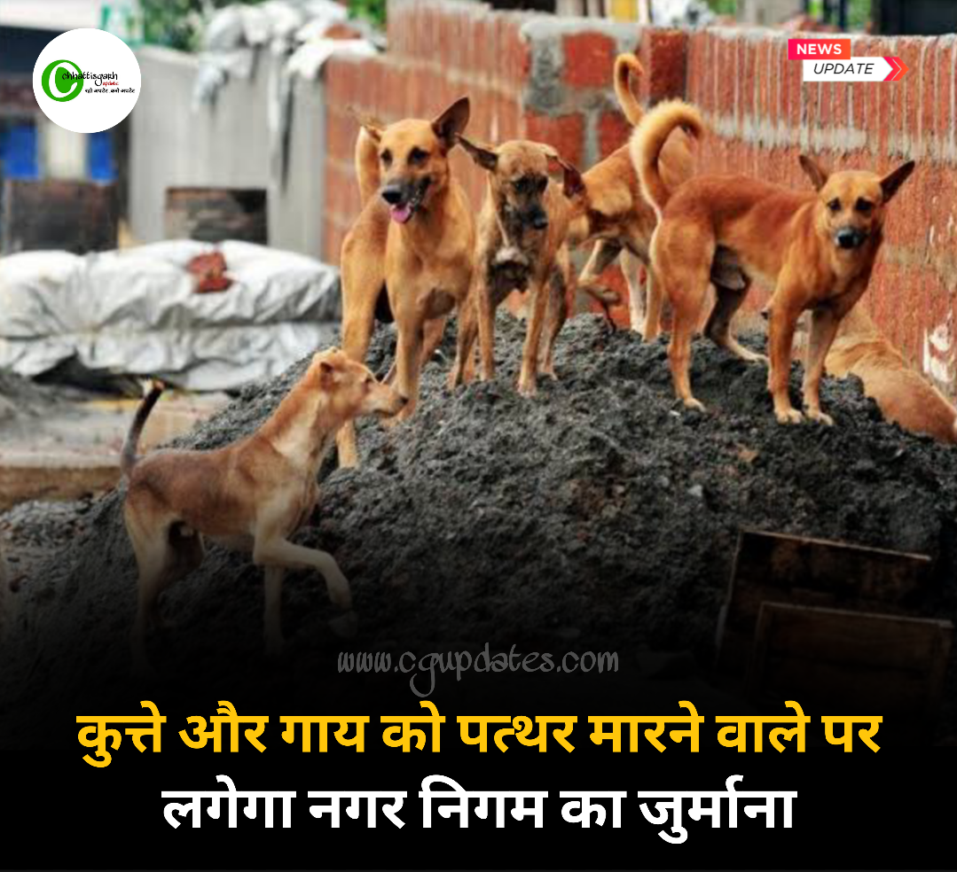 छत्तीसगढ़ कुत्ते औऱ गाय को पत्थर मारने वालों पर लगेगा 5000 का जुर्माना,पशु से क्रूरता न हो इसलिए लिया गया फैसला