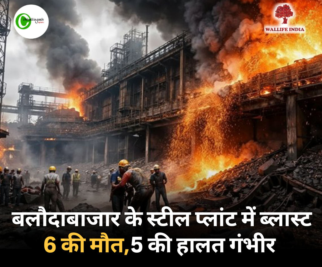  ब्रेकिंग बलौदाबाजार के स्टील प्लांट में ब्लास्ट 6 की मौत,5 की हालत गंभीर 