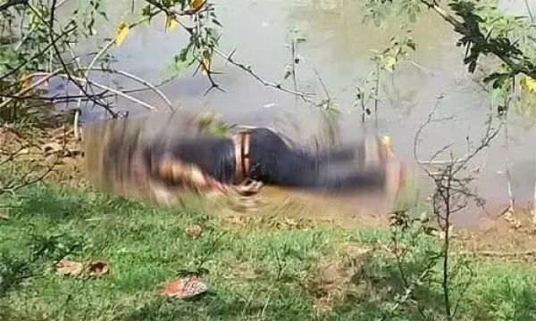 हत्या या आत्महत्या  : युवती की सड़ी-गली लाश मिलने से फैली सनसनी...जाँच में जुटी पुलिस...!! 