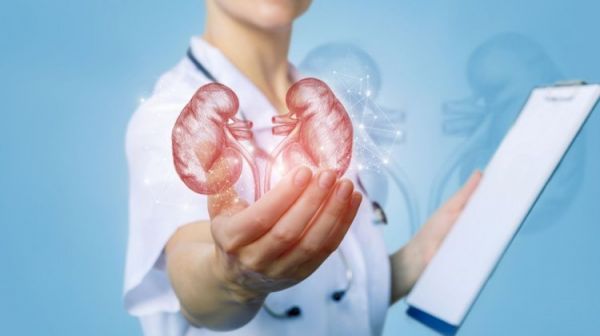 किडनी की बीमारी से जूझ रहे मरीजों को बड़ी राहत, फ्री में हो रहा इलाज, इन 27 जिला अस्पतालों में मिलेगा फायदा..!!