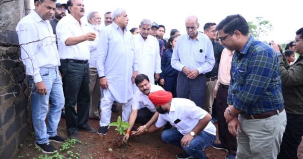 महंत लक्ष्मीनारायण दास महाविद्यालय के नए परिसर में वृक्षारोपण महोत्सव संपन्न