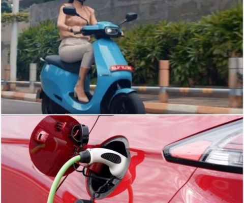 छत्तीसगढ़ में इलेक्ट्रिक वाहन खरीदने पर सरकार दे रही सब्सिडी, करना होगा यह काम, सीधे खाते में आएंगे पैसे  