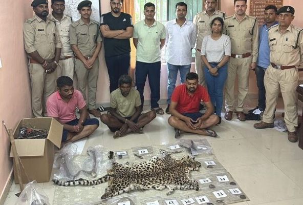 बाघ के तस्कर गिरोह को पकड़ने में वन विभाग को मिली बड़ी कामयाबी