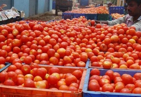 CG NEWS : प्रदेश में टमाटर के भाव ने तोड़े सारे रिकॉर्ड, 200 रुपए तक पंहुचा प्रति किलो दाम 