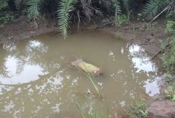 CG NEWS : पूर्व रेलवेकर्मी की पानी के गड्ढे में मिली लाश, जांच में जुटी पुलिस