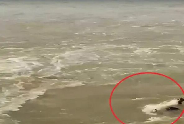 शिवनाथ नदी में बहे युवक की लाश 15 घंटे बाद मिली, फ्रेंडशिप डे के दिन हुआ था हादसा