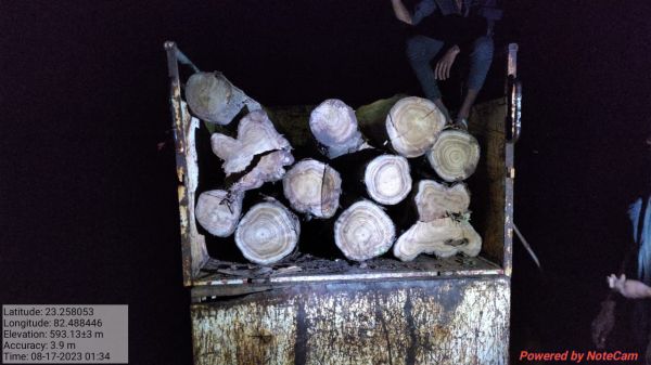 वन विभाग की कार्रवाई : अवैध सागौन लकड़ी और वाहन जप्त