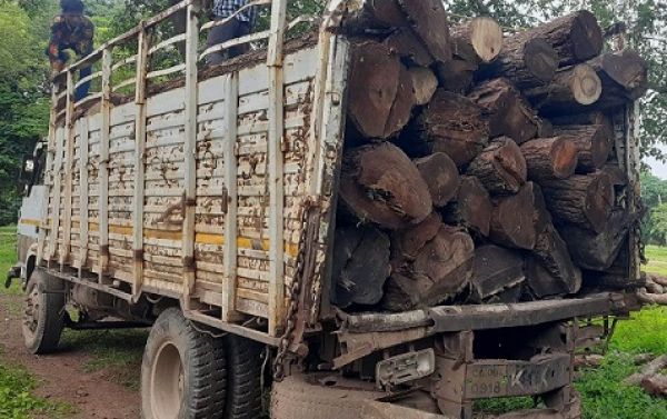 वन विभाग की कार्रवाई में अवैध लकड़ियां और गाड़ी जब्त
