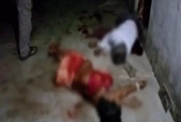  CRIME : दामाद ने सास-ससुर पर किया चाकू से हमला, ससुर की मौत, सास की हालत गंभीर