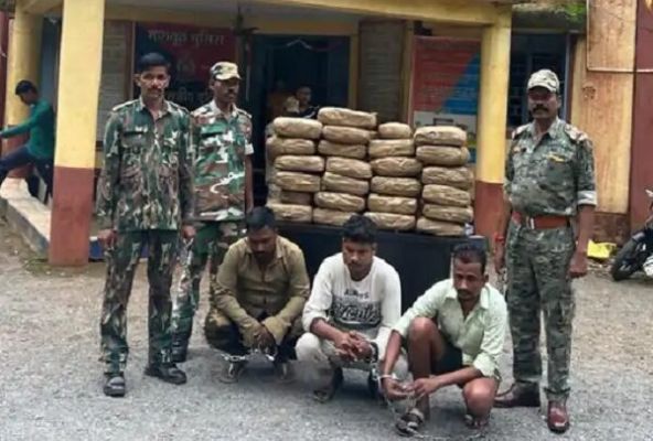 छत्तीसगढ़ में पकड़ाई गांजे की बड़ी खेप, पुलिस ने 3 तस्करों से जब्त किया 100 किलो गांजा