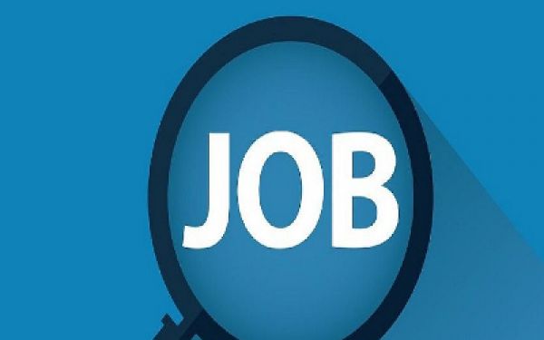 छत्तीसगढ़ में कल होगा प्लेसमेंट कैम्प का आयोजन, सेल्स ऑफिसर के पद पर निकली बंपर भर्ती, जानें किस &ndash; किस को मिलेगी नौकरी