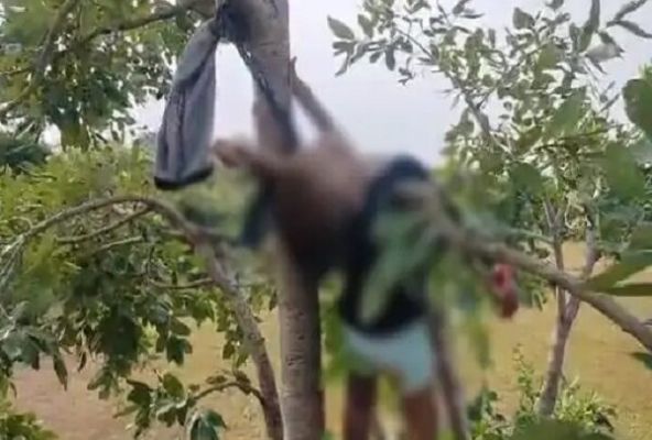 CRIME : पिता ने 10 माह के बेटे का घोंटा गला, पेड़ पर लटका मिला मासूम का शव; आरोपी गिरफ्तार