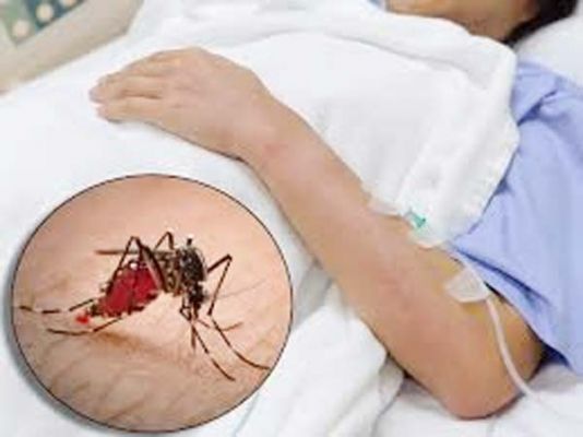 आईफ्लू और डेंगू के बाद अब वायरल फीवर में बढाेत्&zwj;तरी