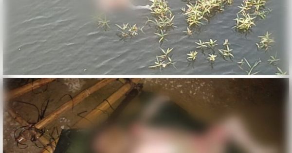 7 वर्षीय मासूम की महानदी में तैरते मिली लाश, इलाके में फैली सनसनी