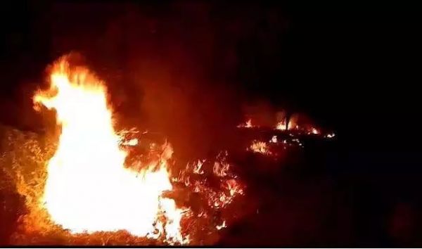  टाटा शोरुम सर्विस सेंटर में लगी भयंकर आग, जलकर खाक हुई कई वाहन, मौके पर पहुंची दमकल की गाड़ियां