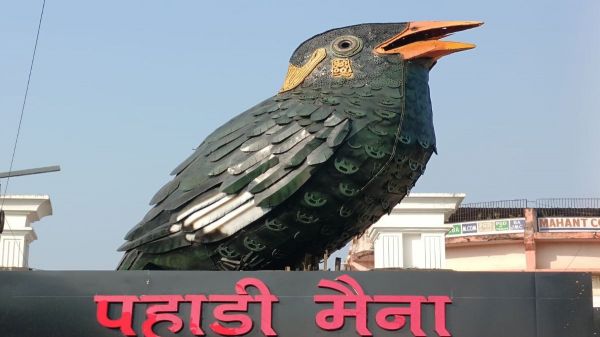 100 किलो कबाड़ से राजकीय पक्षी को किया गया है तैयार...पहाड़ी मैना की प्रतिमा रायपुर की बढ़ा रही शोभा