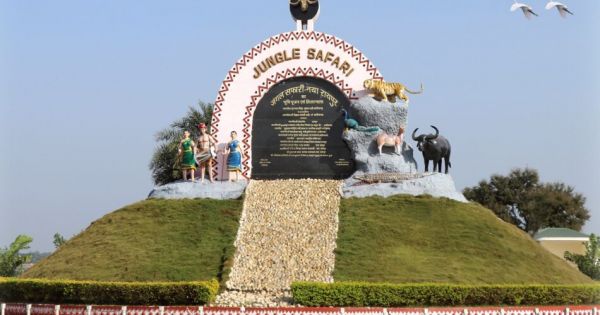 लापरवाही के चलते जानवरों की गई जान...जंगल सफारी में पांच दिनों में 17 चौसिंगा की मौत से हड़कंप