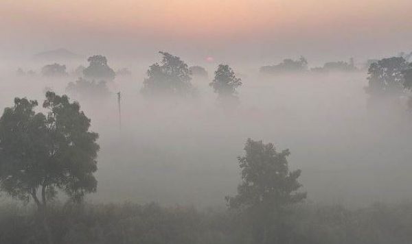 छत्तीसगढ़ में और बढ़ेगी ठंडी, अगले दो दिनों में पारा 2 से 3 डिग्री गिरने का अनुमान : मौसम विभाग 