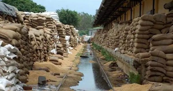 बीजेपी सरकार बनते ही खरीदी केंद्रों में धान की आवक में तेजी, सेंट्रल पूल के लिए FCI में चावल जमा होना शुरू