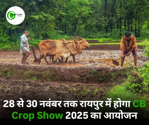 किसानों के लिए सुनहरा अवसर &ndash; रायपुर में होने जा रहा है CB Crop Show 2025, नई तकनीक और 280 से अधिक हाइब्रिड किस्मों का प्रदर्शन
