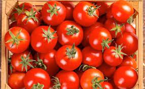 आम जनता को बड़ी राहत: 14 जुलाई से मिलेगा सस्ता टमाटर, जानिए क्या है सरकार की योजना