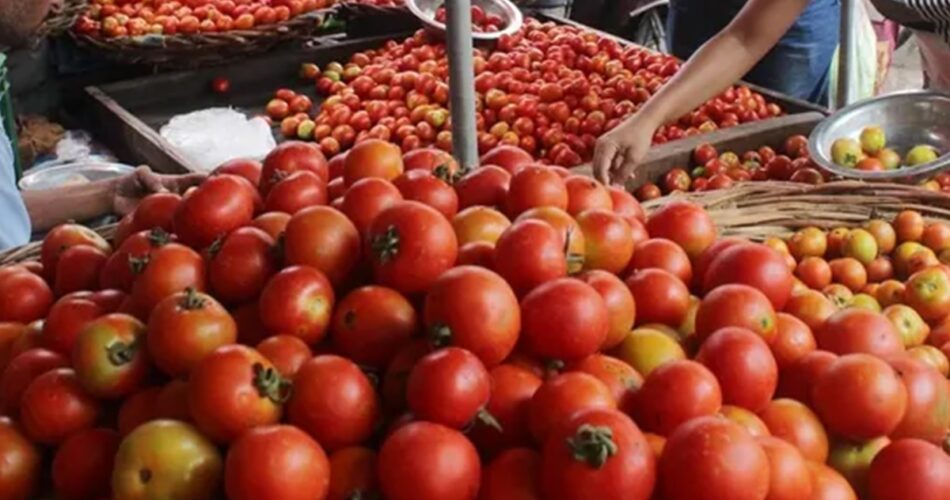 महंगाई से छुटकारा! टमाटर की थोक कीमत में आई 29% की गिरावट, लोगों ने ली राहत की सास 