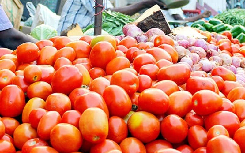 आज से सस्ता मिलेगा टमाटर, लोगों को राहत देने बेचेगी सरकार, जानिए कितनी है सरकारी कीमत