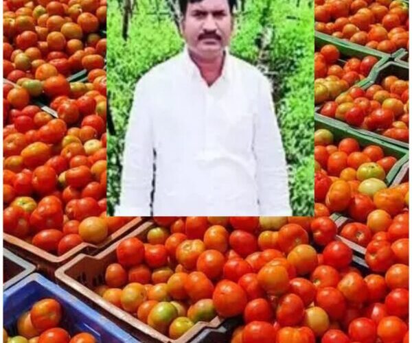 टमाटर बेचकर 10वीं फेल किसान बना करोड़पति, एक महीने में 1.8 करोड़ कमाए