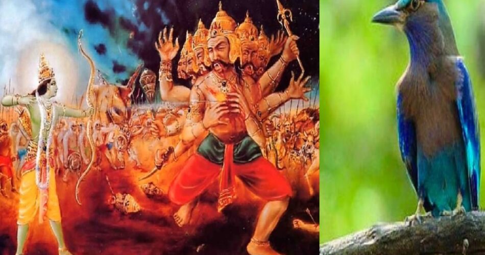 दशहरा के दिन नीलकंठ पक्षी का दिखना बेहद शुभ, खुल जाता है किस्मत का ताला