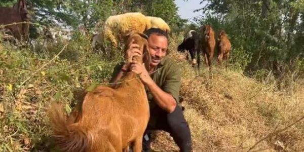 anurag bhadouria: करोड़ों के मालिक, फिर भी चराते हैं बकरी, पत्नी भी है PCS अधिकारी, पढ़िए खबर